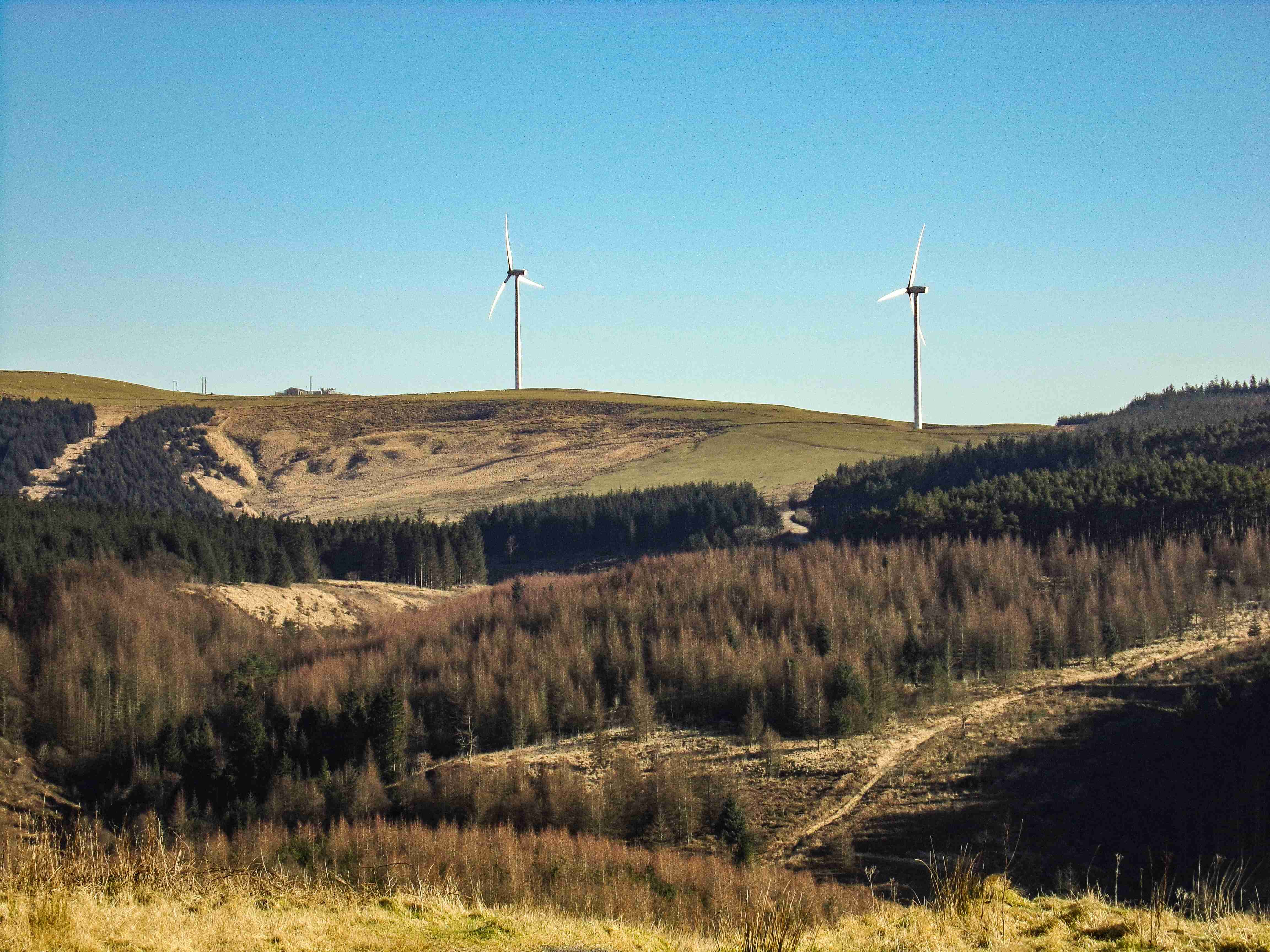 A line of wind turbines along a ridge at dusk — Sustainability & Technology