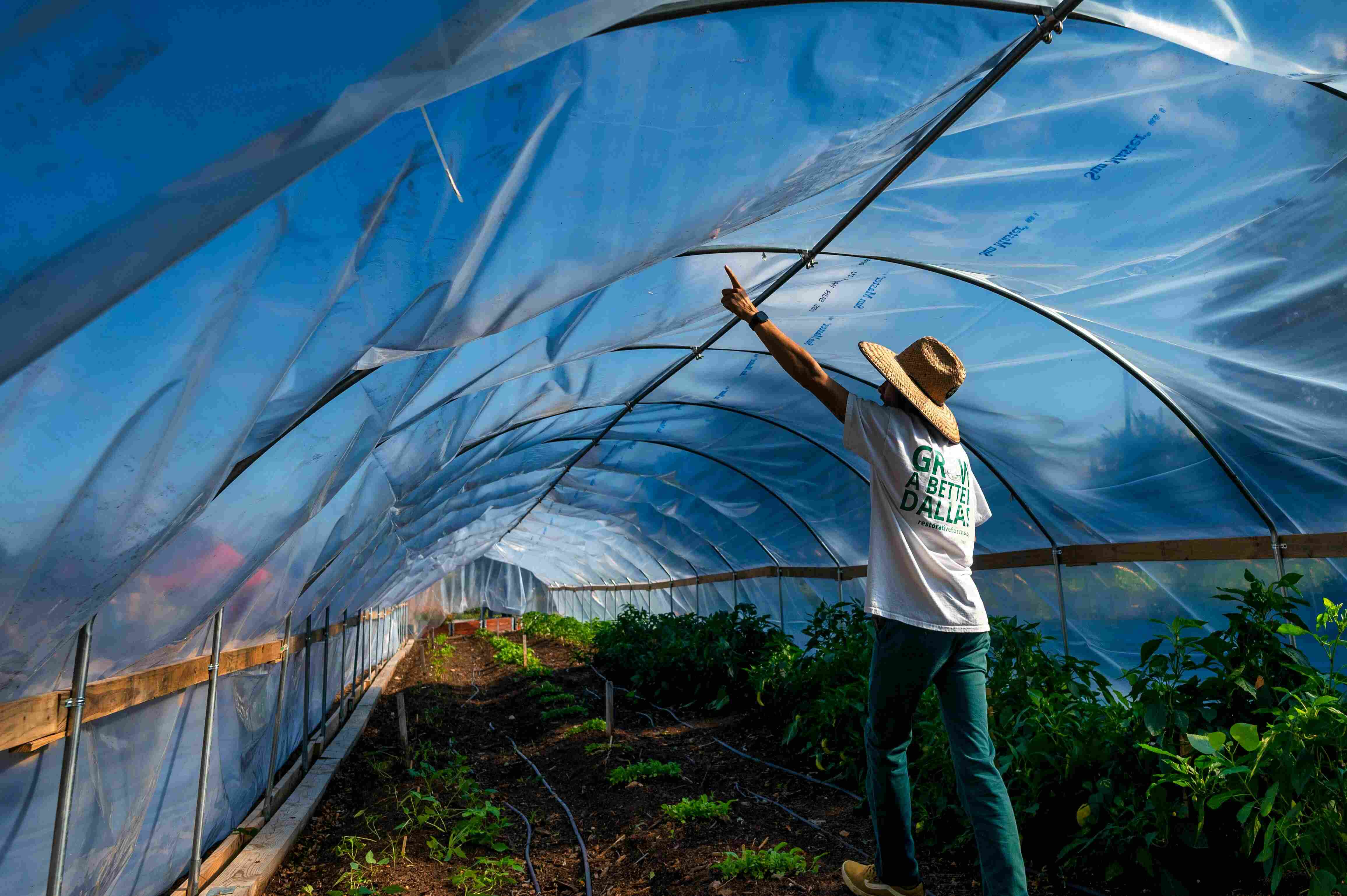 AgriTech sector